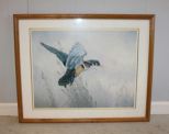 Framed Print of Duck by Christopher Forrest, dated '82 Description