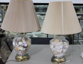 Pair of Sea Shell Lamps Description
