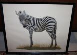 Young Zebra (Farnsworth) Description