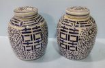 Two Blue and White Porcelain Ginger Jars