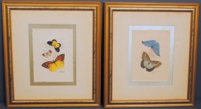 Butterfly Prints Description
