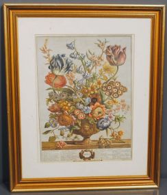 Twelve Months of Flowers,1730, April Art Print Description