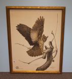 Great Horned Owl Framed Print, signed Guy Coheleach