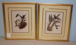 Two Masterpiece Company Prints of Hummingbirds