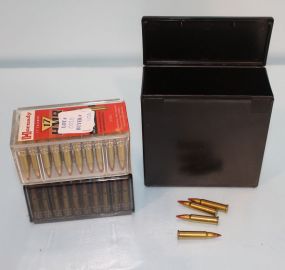 .17 Cal. Bullets