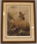Artist Signed Limited Edition Quail Print