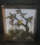 Victorian Shadow Box of Birds