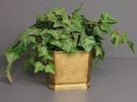 Brass Planter