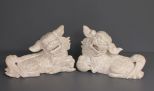 White Porcelain Contemporary Food Dogs