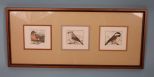 Three Limited Edition Prints of Birds by artist L. DuBose