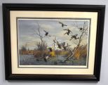 One Print by the late Harry Adamson of Black Ducks