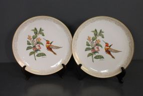 Pair of Boehm Fufous Flame Beaver Hummingbird Plates