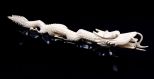 Large Chinese Carved Ivory Dragon