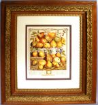 Print of Pears (framed)