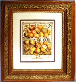 Print of Pears (framed)