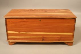 Cedar Trunk