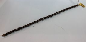 Antique Black Thorn Walking Cane