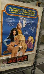 Swedish Swingers & Dagmar's Hot Pants Movie Posters