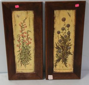Two Botanical Plaques