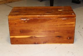 Large Cedar Trunk