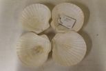 Four Seashell Dishes
