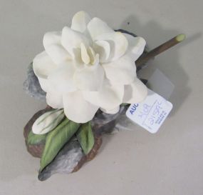 Boehm Bone Porcelain Gardenia