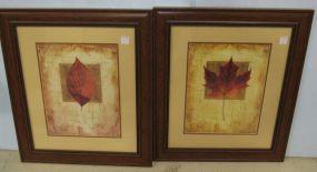 Pair of Matted and Framed Leaf Prints