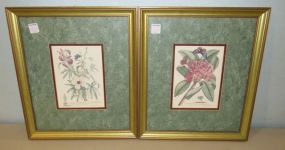 Two Floral Prints in Matching Gold Frames