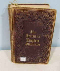 The Animal Kingdom Illustrated Goodrich's Natural History of Birds and Fishes