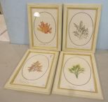Four Framed Coral Fern Prints