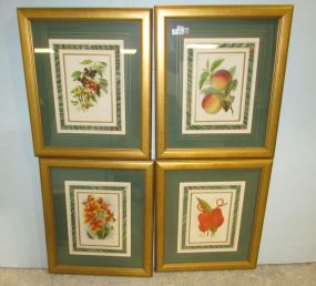 Four Framed Floral Prints