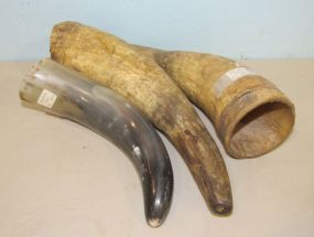 Pair of Cow Horns and Buffalo Horn
