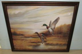 Mallard Ducks Print by Ruane Mannine
