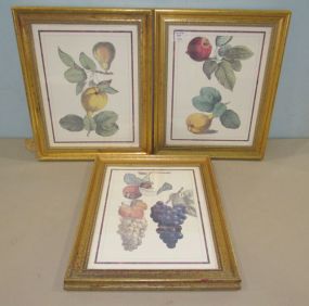 Three Gold Frame Fruit Prints