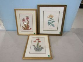 Three Framed Floral Prints