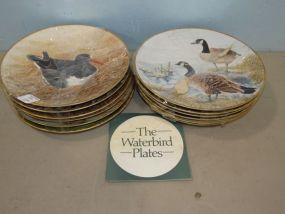 Twelve Waterbird Collectible Plates