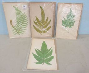 Four Unframed Leaf Lithographs