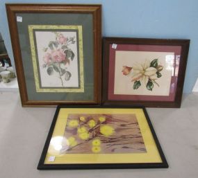 Three Framed Floral Prints