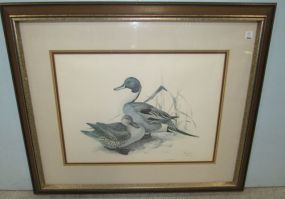J.F. Lansdowne Artist Proof Lithograph of Ducks