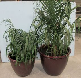 Two Plastic Planters with Artificial Plants