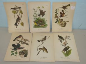 Six Loose Prints of Birds