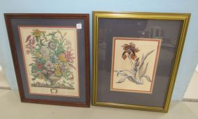 Two Botanical Framed Prints