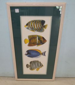 Dianna Krumel Fish Print