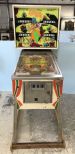 Williams Fan-Tas-Tic Pinball Machine