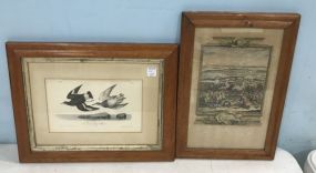 Battle of Turin Print and Bird Audubon