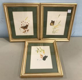 Three Butterfly Prints by Dan Short