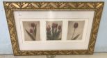 Framed Tulips Print