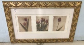 Framed Tulips Print