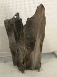 Large Cypress Stump