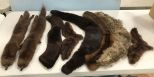 Group of Mink and Fur Scarf Stoles